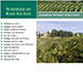 Rias Baiwas Wines