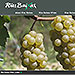 Rias Baiwas Wines