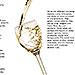 Rias Baiwas Wines